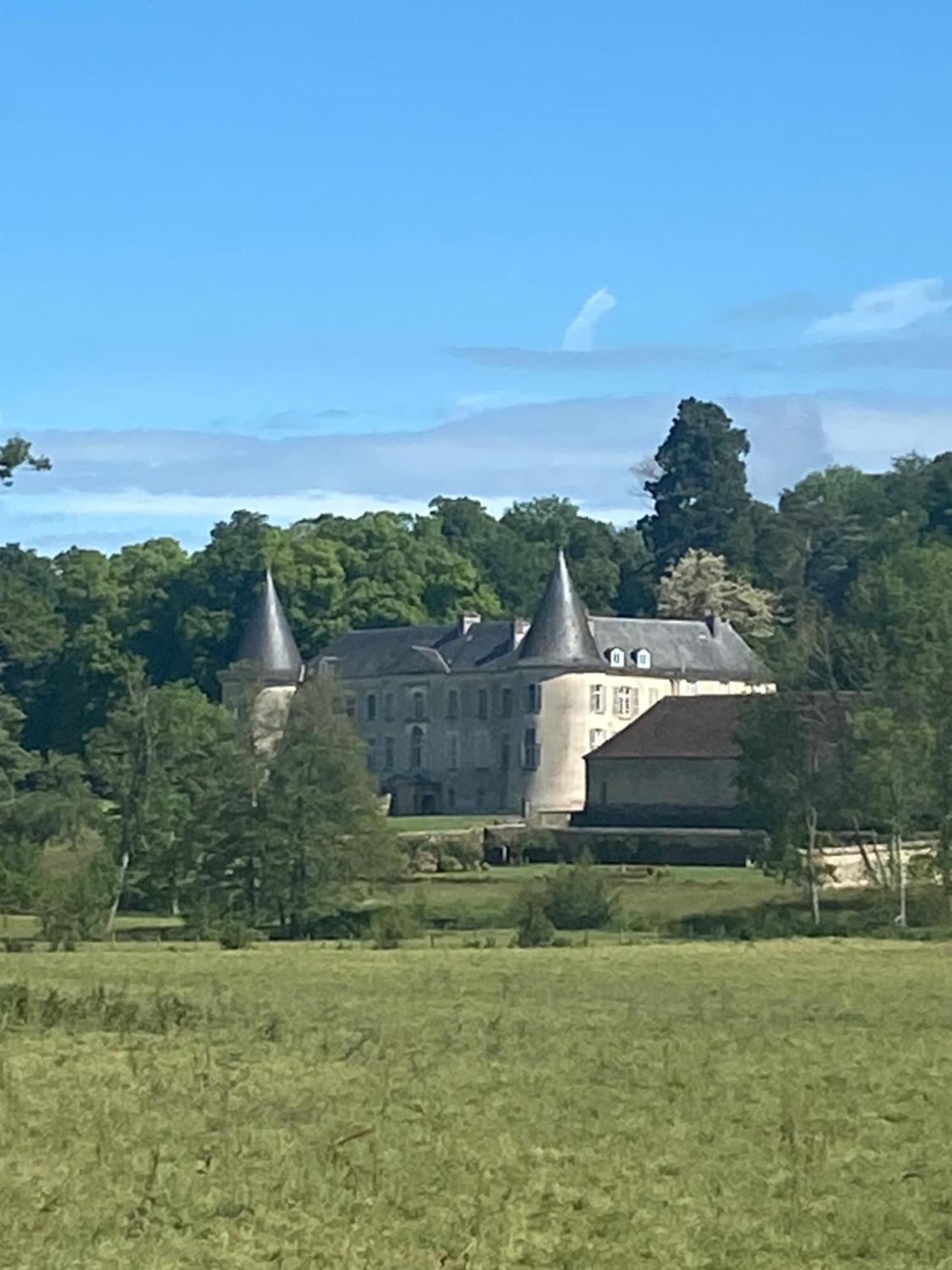 Chateau De Beaujeu Sens-Beaujeu Экстерьер фото